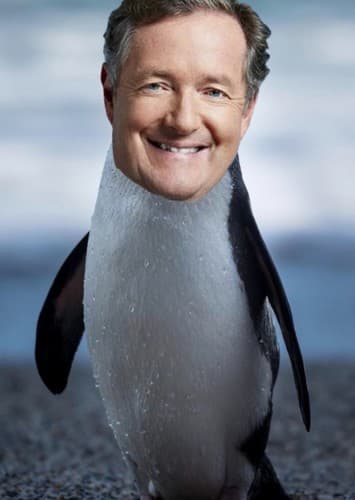 Pingu Morgan