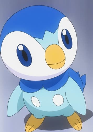 Piplup