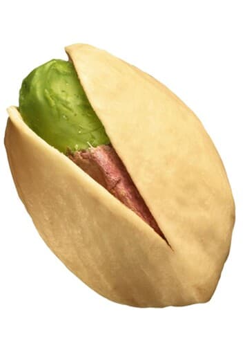 Pistachio