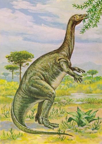 Plateosaurus