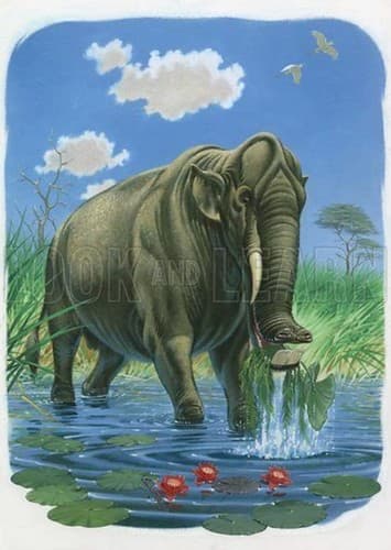 Platybelodon