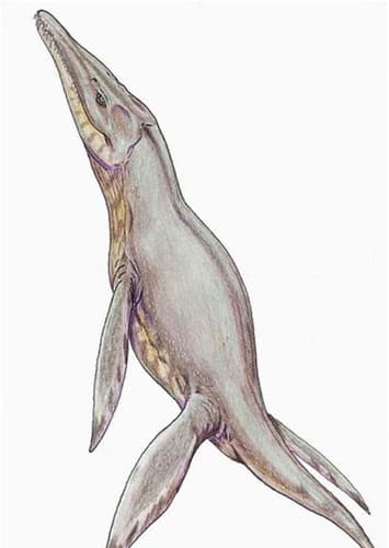 Pliosaurus