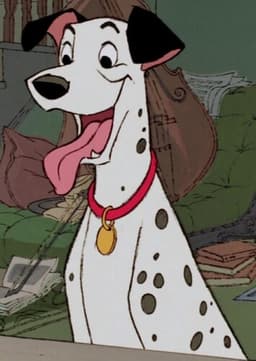 Pongo