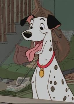 Pongo