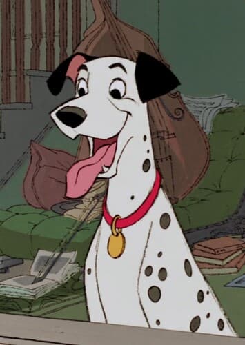 Pongo