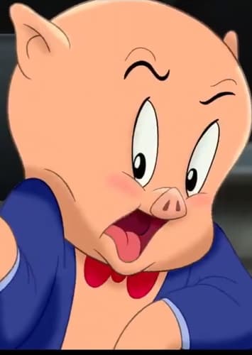 Porky Pig