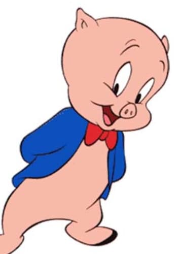 Porky Pig