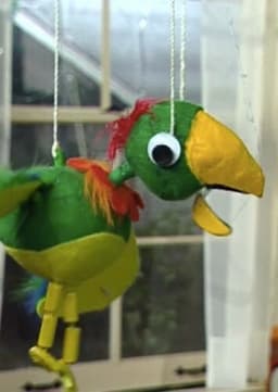 Potty the Parrot