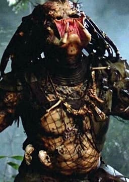 The Predator