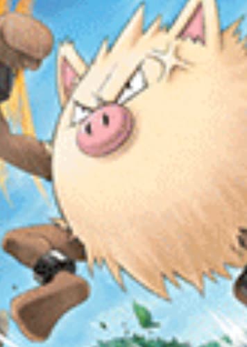 Primeape / オコリザル