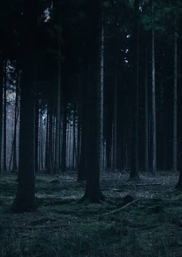 Primeiro Ataque - Parte 1