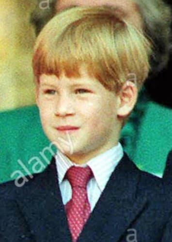 Prince Harry
