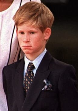 Prince Harry (Child)