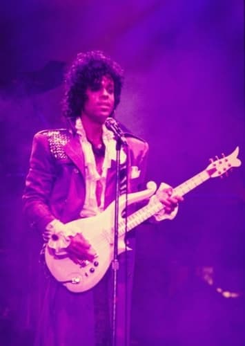 Prince Rogers Nelson