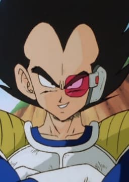 Prince Vegeta IV