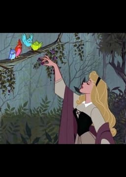 PRINCESS AURORA
