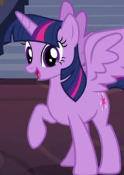 Princess Twilight Sparkle