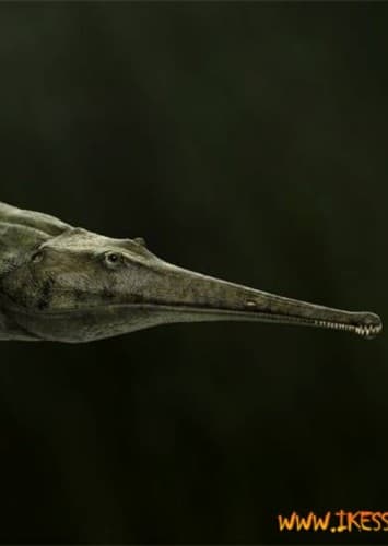 Prionosuchus