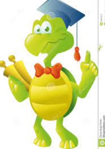 Professor Turtle
