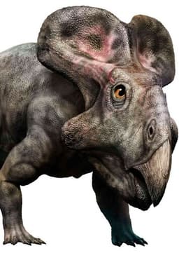 Protoceratops