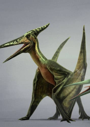Pteranodon