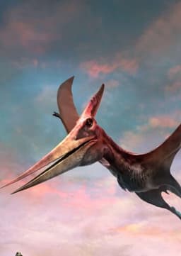 Pteranodon