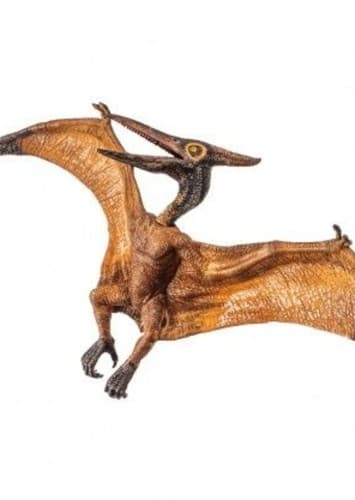 Pteranodon