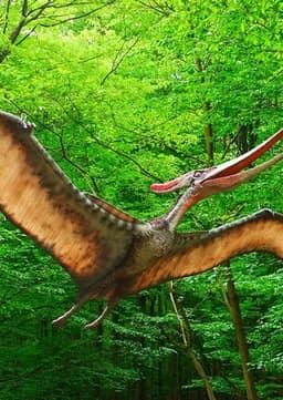 Pterodactyl