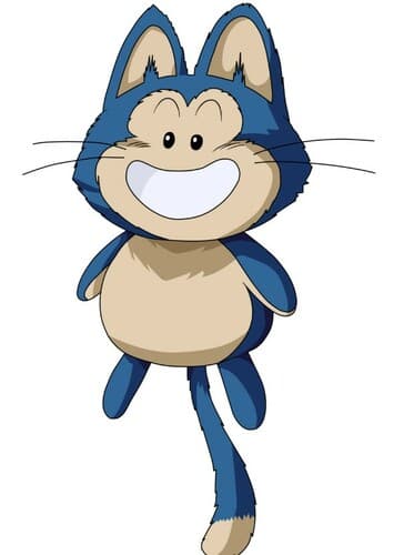 PUAR