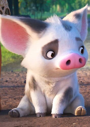 Pua The Pig
