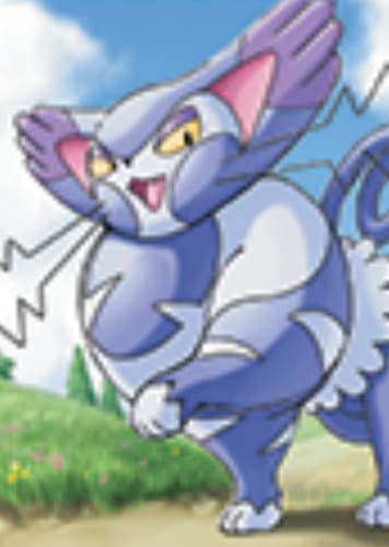 Purugly / ブニャット