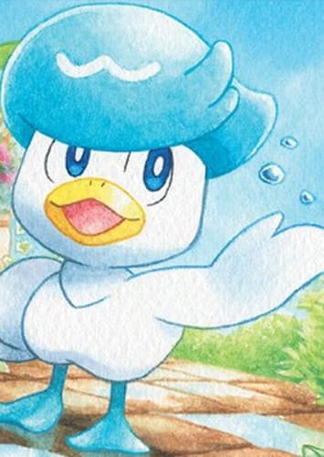 Quaxly / クワッス