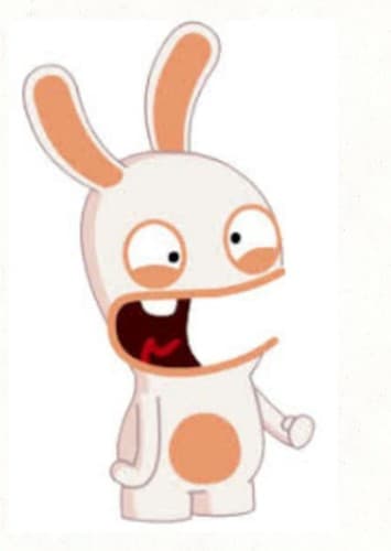 Rabbids