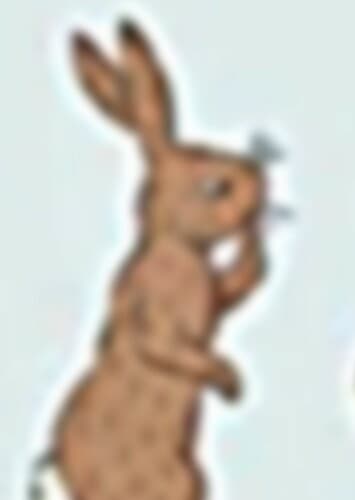 Rabbit (Tom Kenny, Canon)