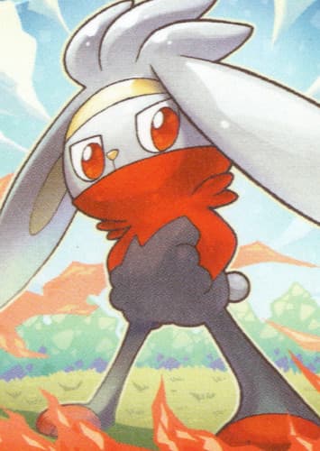 Raboot / ラビフット