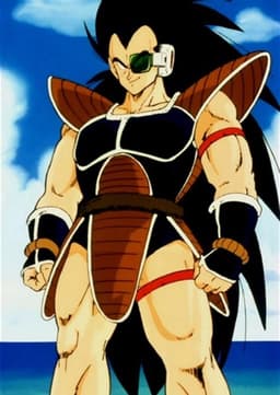Raditz
