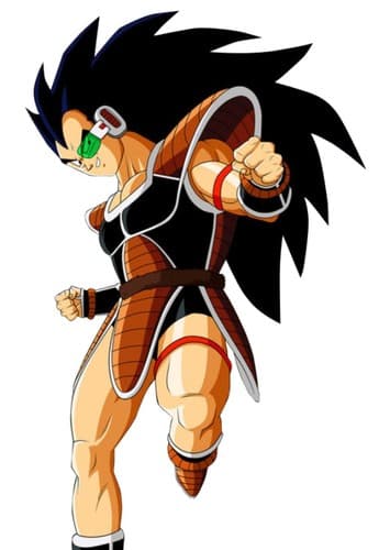 Raditz