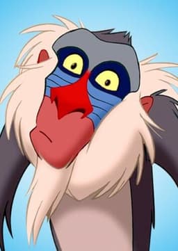 Rafiki