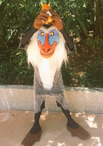 Rafiki