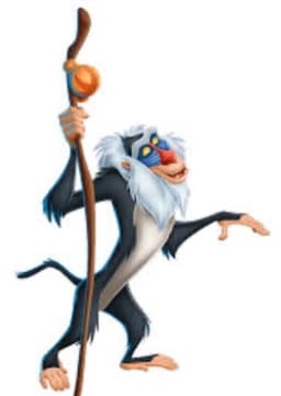 Rafiki