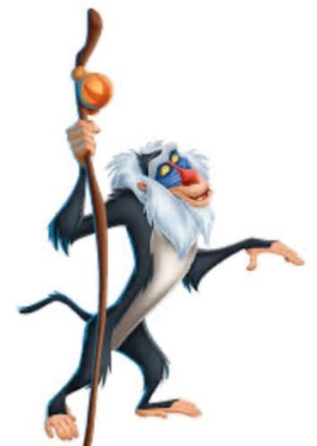 Rafiki