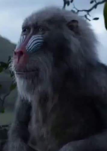 Rafiki