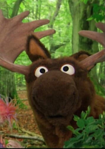 Ralph the Moose