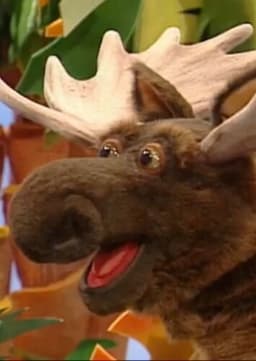 Ralph The Moose