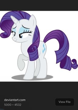 Rarity