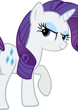 Rarity