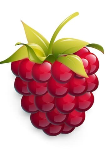 Raspberry