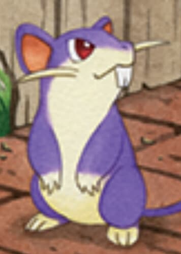 Rattata / コラッタ
