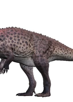 Red Ceratosaurus