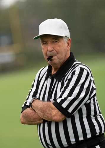 Referee #3